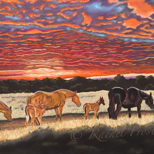 Christmas Creek - Fine Art Print