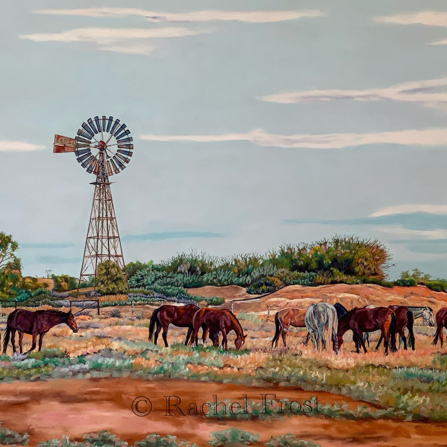 Country Gold - Fine Art Print