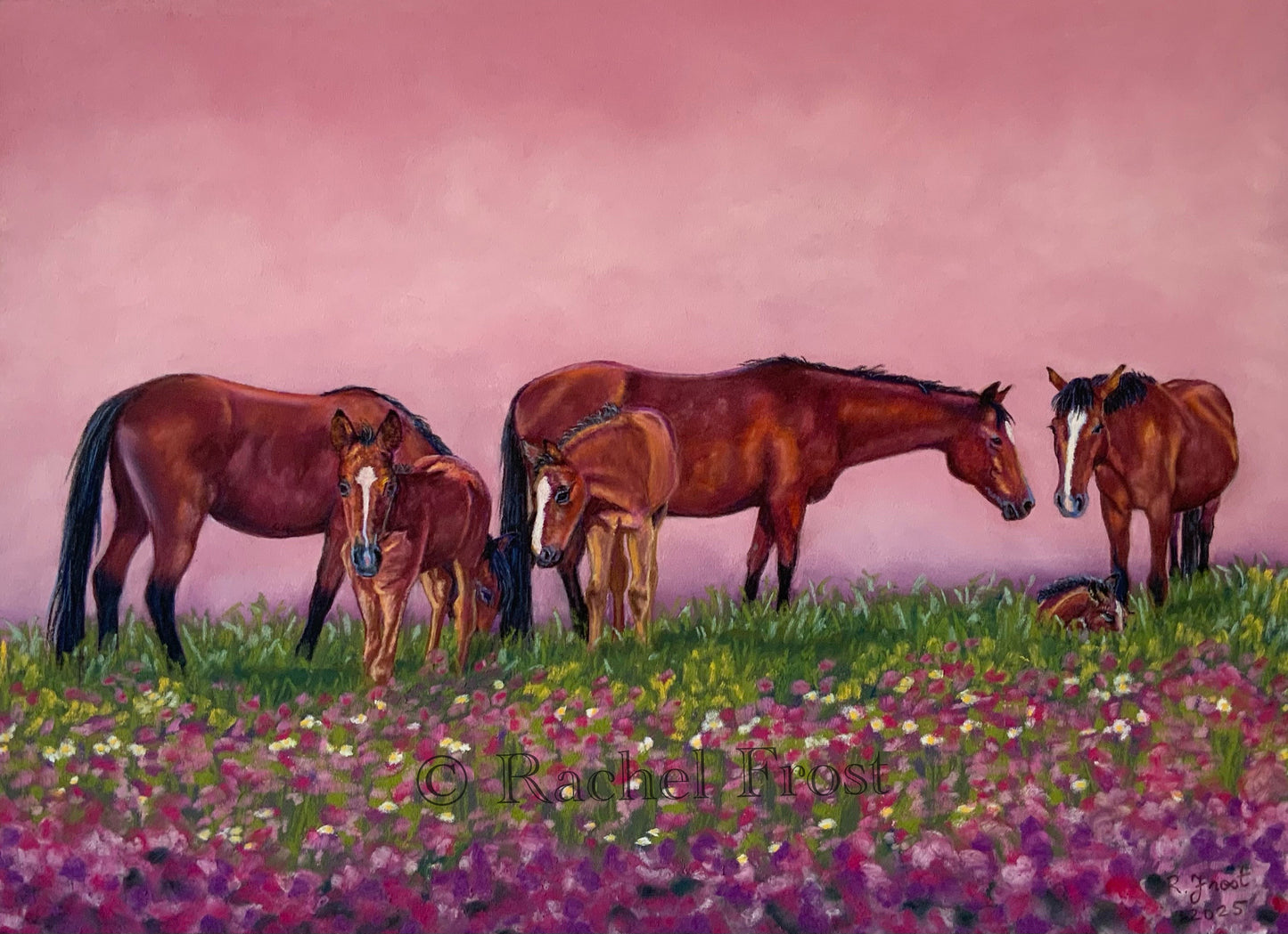 Ponies and Wildflowers
