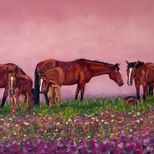Ponies and Wildflowers