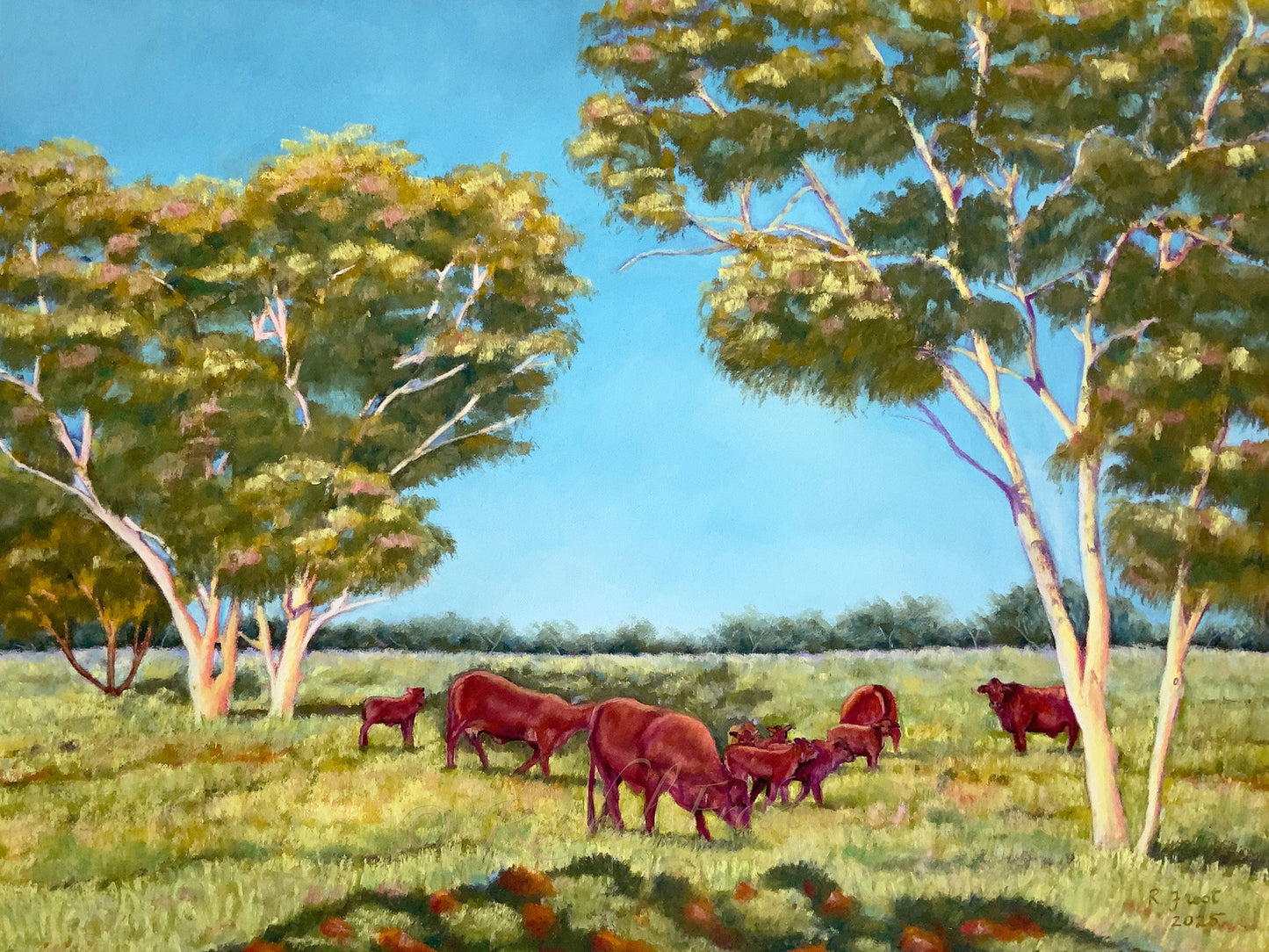 Where The Ghost Gums Watch