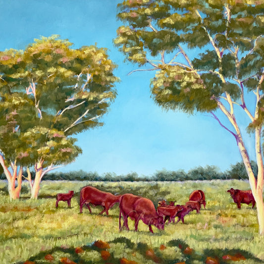 Where The Ghost Gums Watch