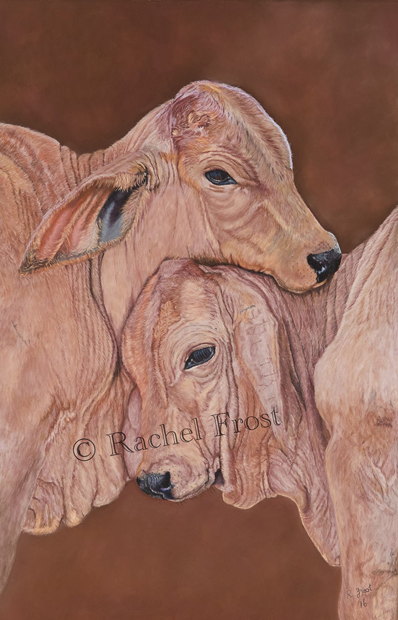 Who's Boss - Fine Art Print