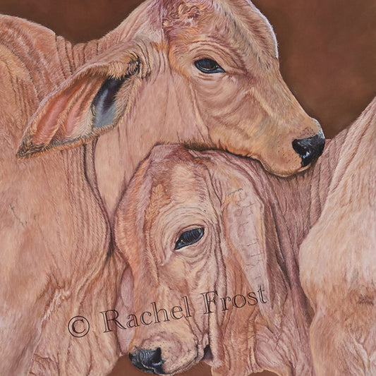 Who's Boss - Fine Art Print